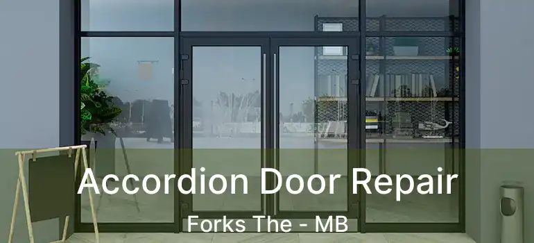 Accordion Door Repair Forks The - MB
