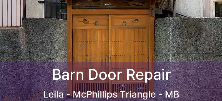 Barn Door Repair Leila - McPhillips Triangle - MB