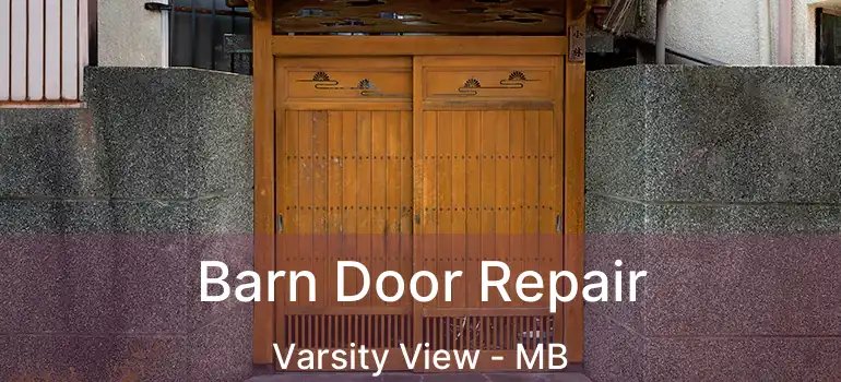  Barn Door Repair Varsity View - MB