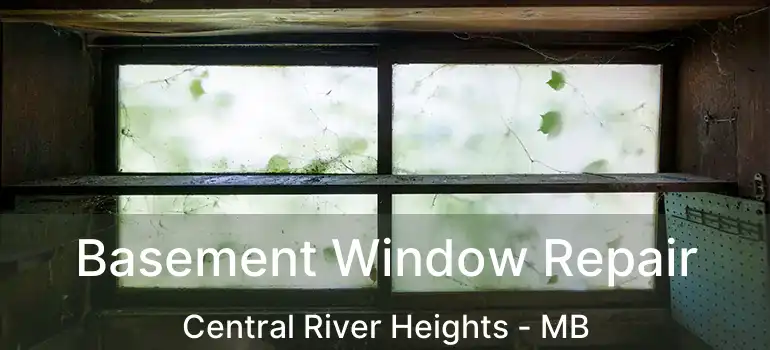 Basement Window Repair Central River Heights - MB