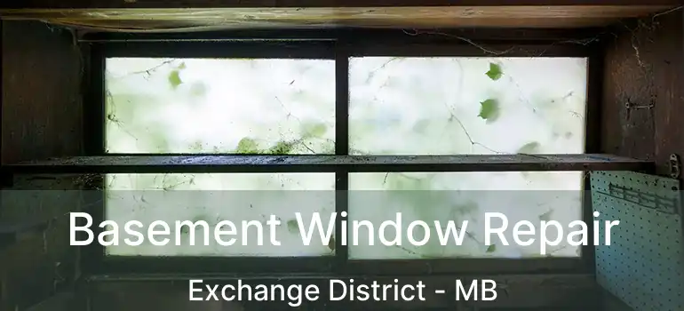 Basement Window Repair Exchange District - MB