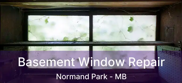  Basement Window Repair Normand Park - MB