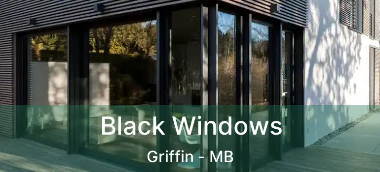 Black Windows Griffin - MB