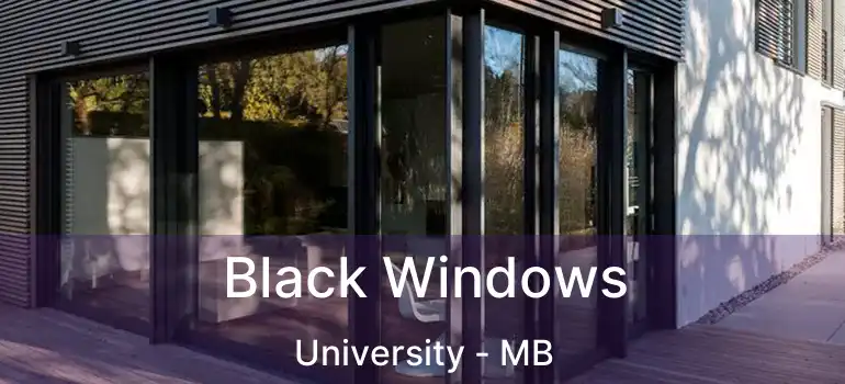 Black Windows University - MB