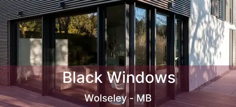  Black Windows Wolseley - MB