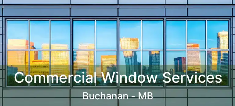 Commercial Window Services Buchanan - MB