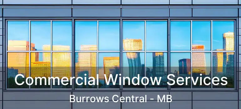 Commercial Window Services Burrows Central - MB