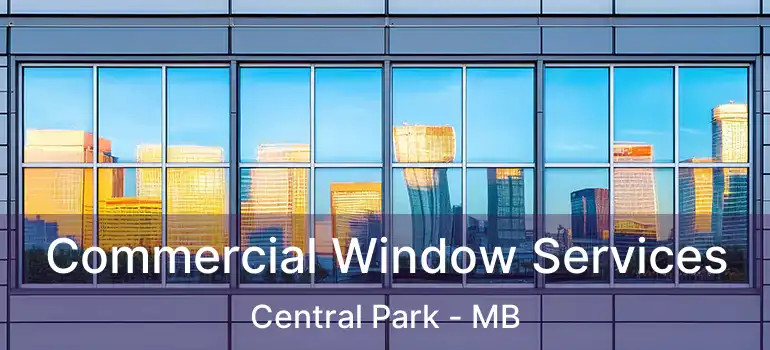 Commercial Window Services Central Park - MB