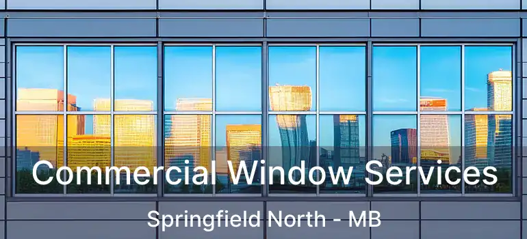  Commercial Window Services Springfield North - MB
