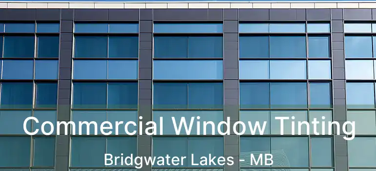  Commercial Window Tinting Bridgwater Lakes - MB