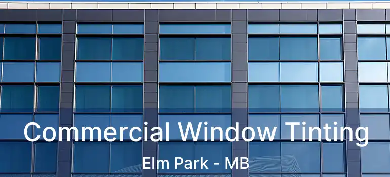  Commercial Window Tinting Elm Park - MB