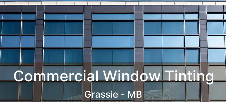 Commercial Window Tinting Grassie - MB