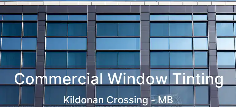 Commercial Window Tinting Kildonan Crossing - MB