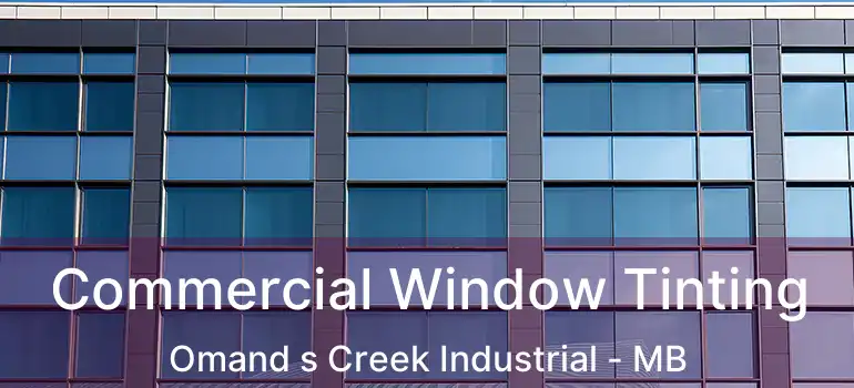 Commercial Window Tinting Omand s Creek Industrial - MB