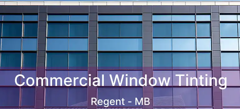 Commercial Window Tinting Regent - MB