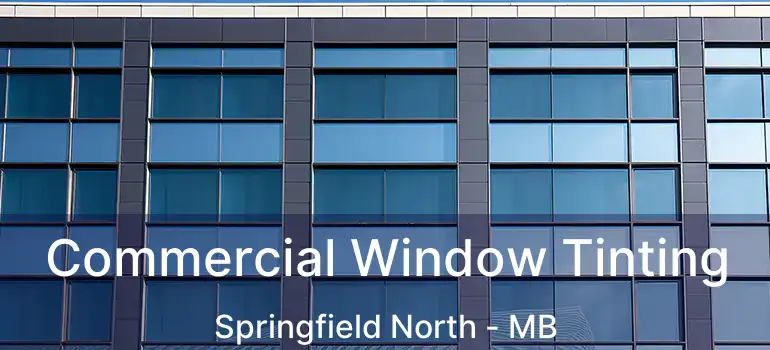 Commercial Window Tinting Springfield North - MB