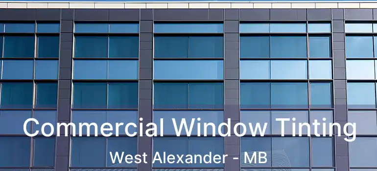 Commercial Window Tinting West Alexander - MB