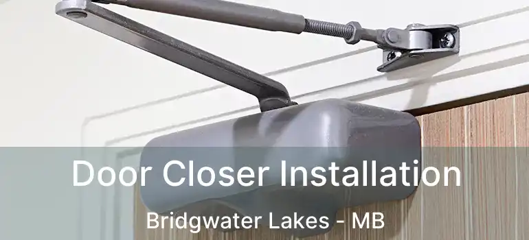 Door Closer Installation Bridgwater Lakes - MB