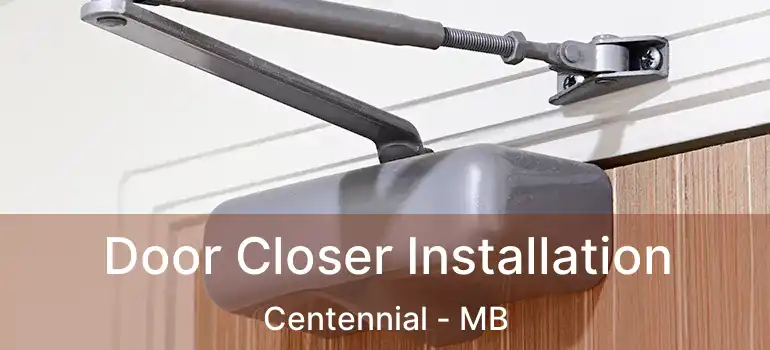  Door Closer Installation Centennial - MB