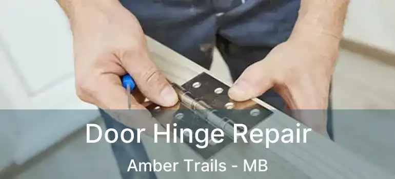 Door Hinge Repair Amber Trails - MB