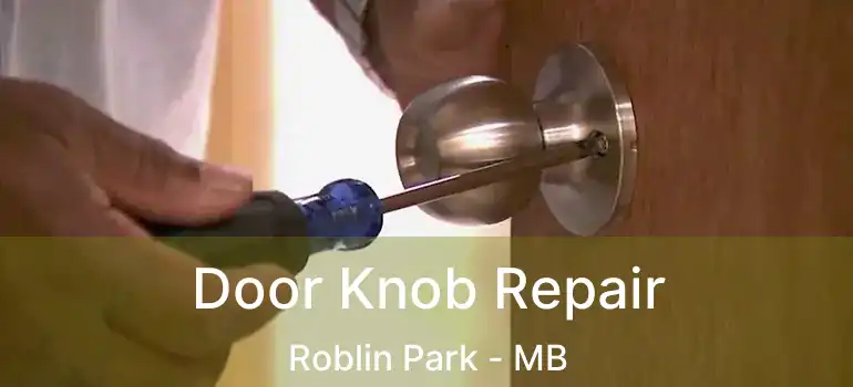  Door Knob Repair Roblin Park - MB