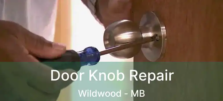 Door Knob Repair Wildwood - MB
