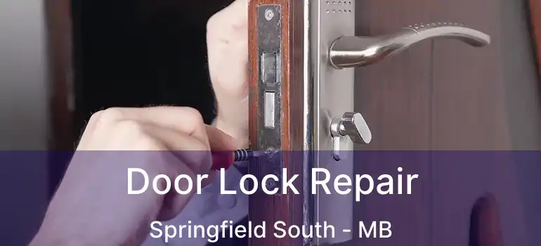Door Lock Repair Springfield South - MB