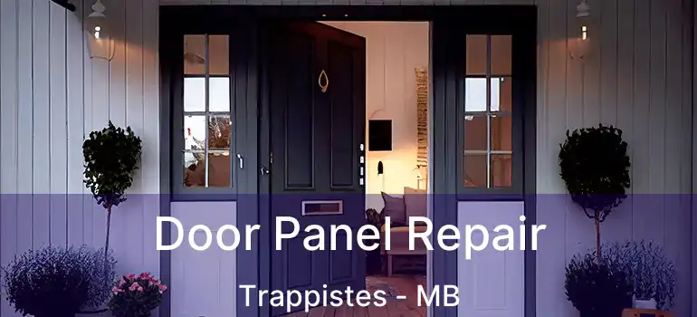 Door Panel Repair Trappistes - MB