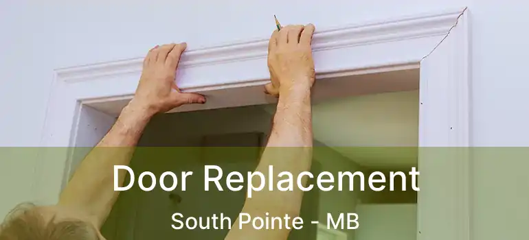 Door Replacement South Pointe - MB