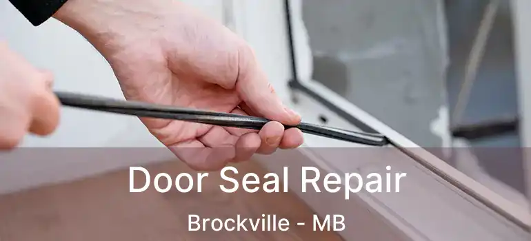  Door Seal Repair Brockville - MB