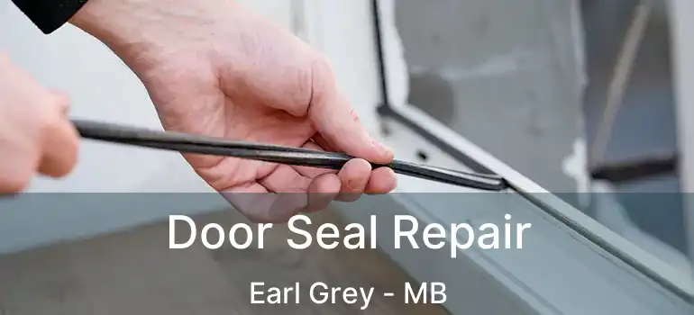  Door Seal Repair Earl Grey - MB