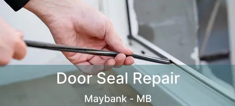 Door Seal Repair Maybank - MB