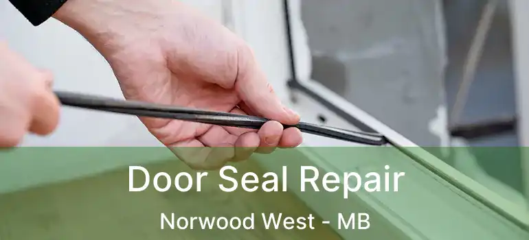  Door Seal Repair Norwood West - MB