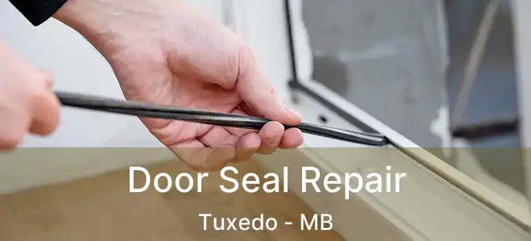 Door Seal Repair Tuxedo - MB