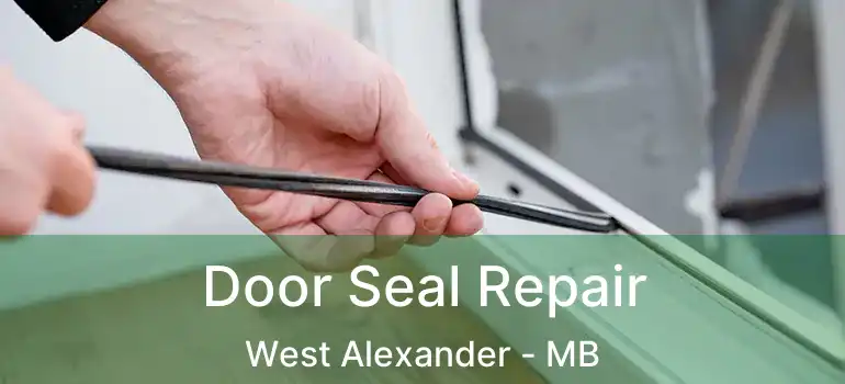  Door Seal Repair West Alexander - MB