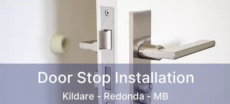 Door Stop Installation Kildare - Redonda - MB