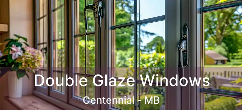  Double Glaze Windows Centennial - MB