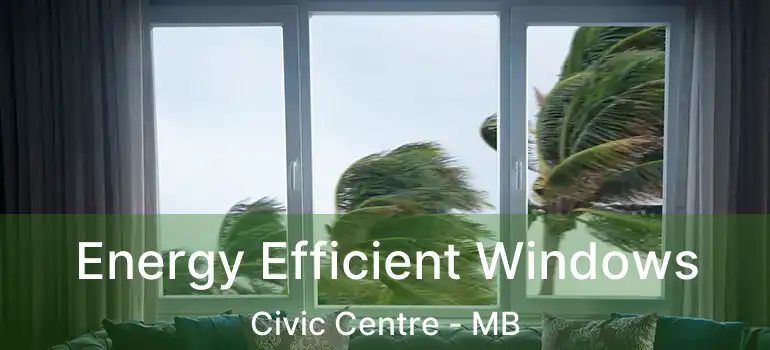  Energy Efficient Windows Civic Centre - MB