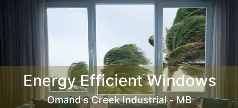 Energy Efficient Windows Omand s Creek Industrial - MB