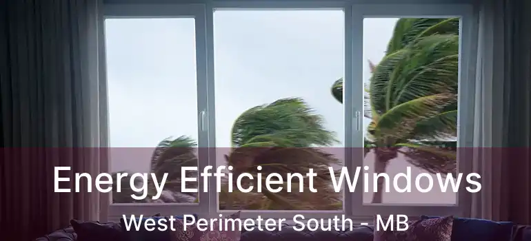 Energy Efficient Windows West Perimeter South - MB