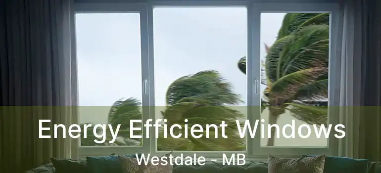  Energy Efficient Windows Westdale - MB