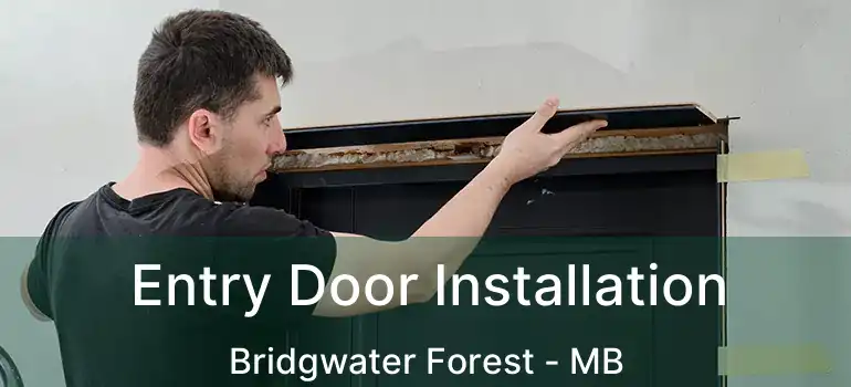  Entry Door Installation Bridgwater Forest - MB