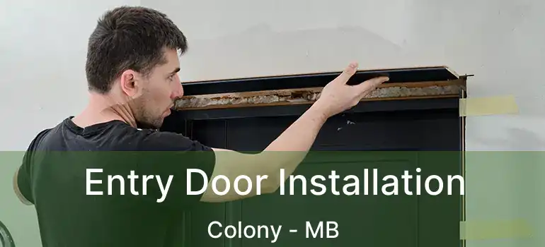 Entry Door Installation Colony - MB