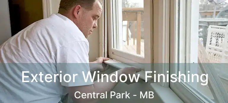  Exterior Window Finishing Central Park - MB