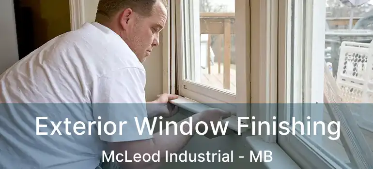 Exterior Window Finishing McLeod Industrial - MB