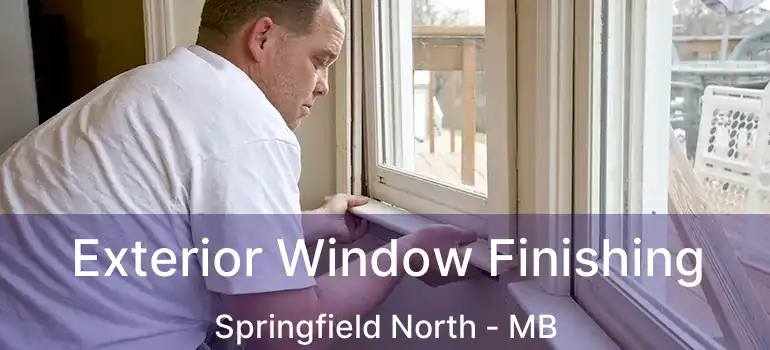  Exterior Window Finishing Springfield North - MB