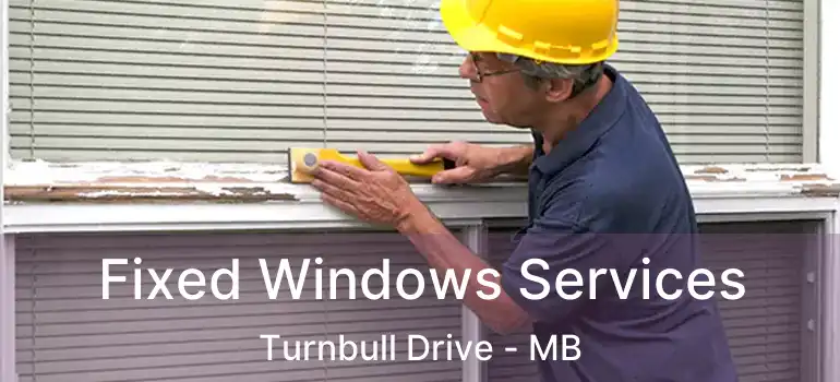 Fixed Windows Services Turnbull Drive - MB