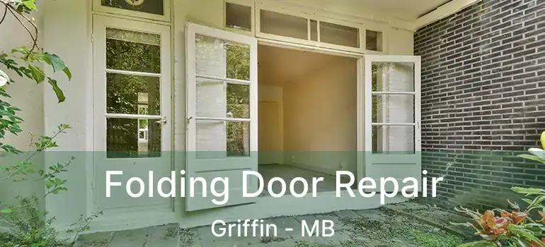  Folding Door Repair Griffin - MB