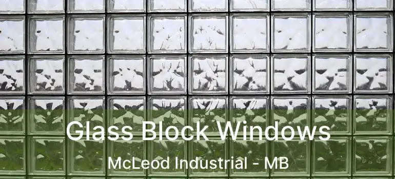 Glass Block Windows McLeod Industrial - MB