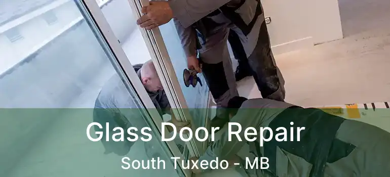  Glass Door Repair South Tuxedo - MB